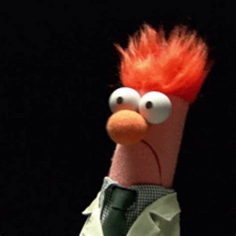 Beaker muppet gif - With Tenor, maker of GIF Keyboard, add popular Muppets Thank You animated GIFs to your conversations. Share the best GIFs now >>>